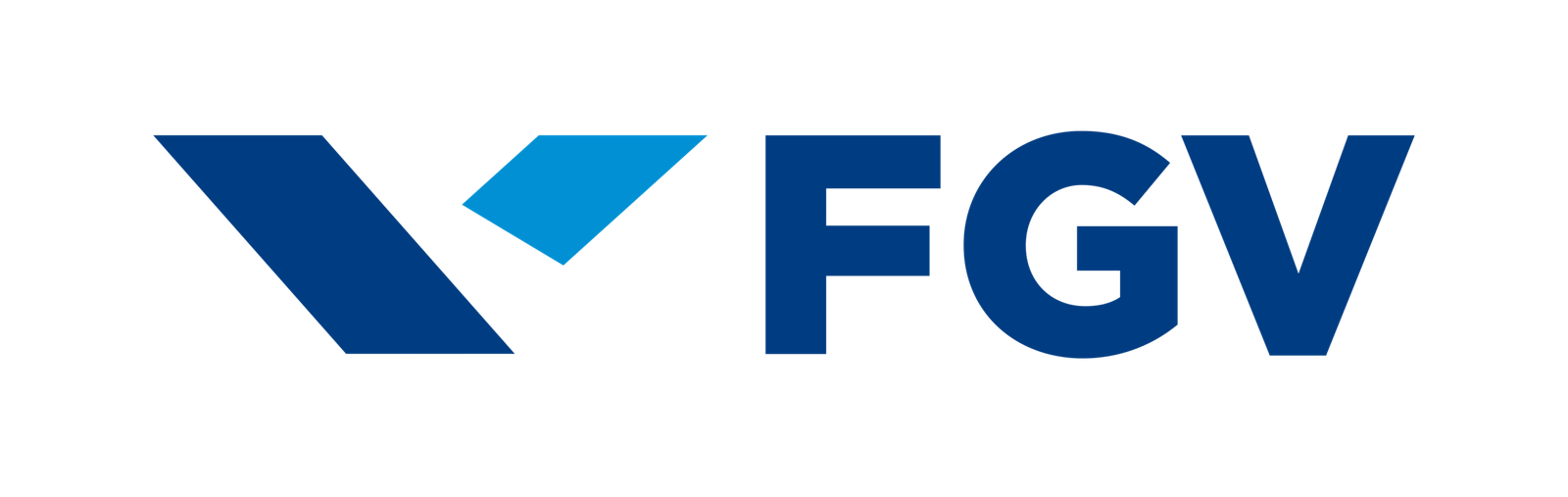 fgv-logo-00